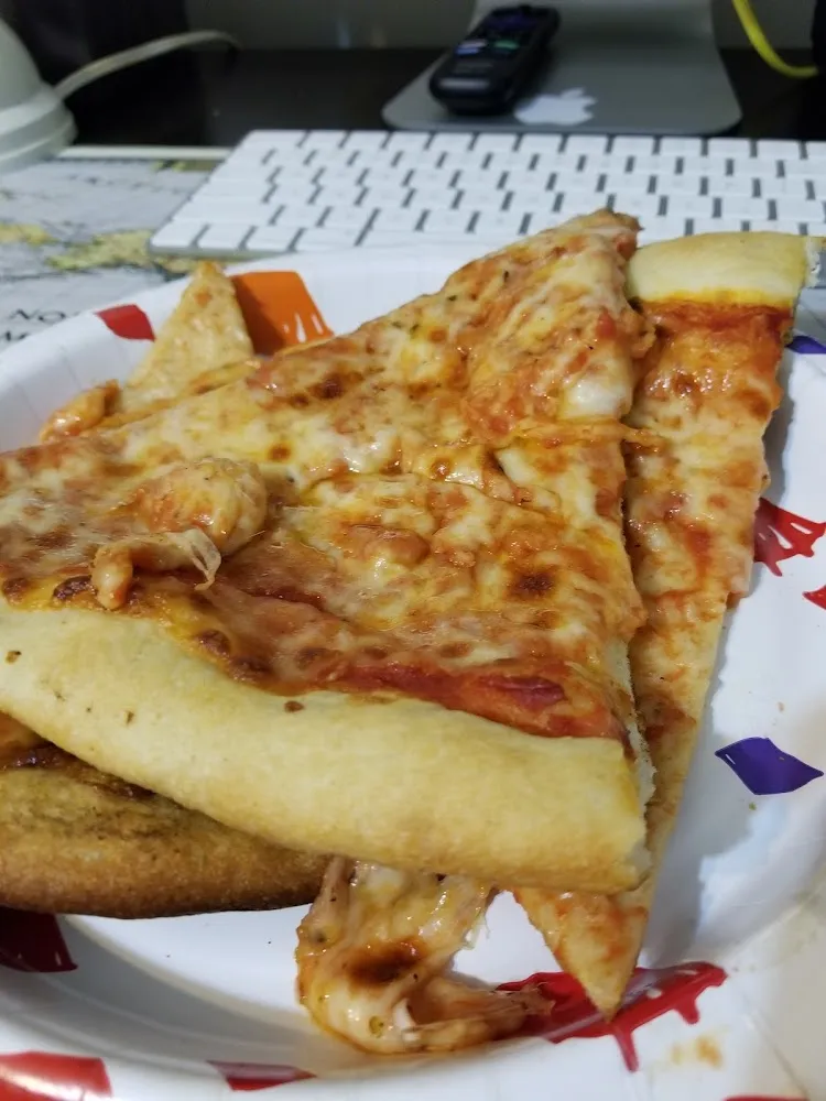 Plain Cheese Pizza